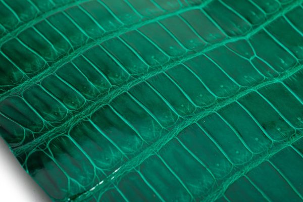 Porosus Crocodile Tails - Luxury Skins (Glazed Pearl Gray) 40% OFF! Sale - Image 3